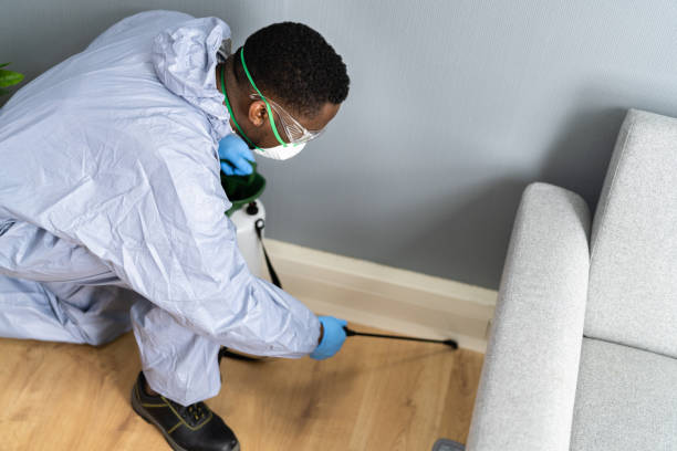 Best Bed Bug Extermination  in Port Chester, NY